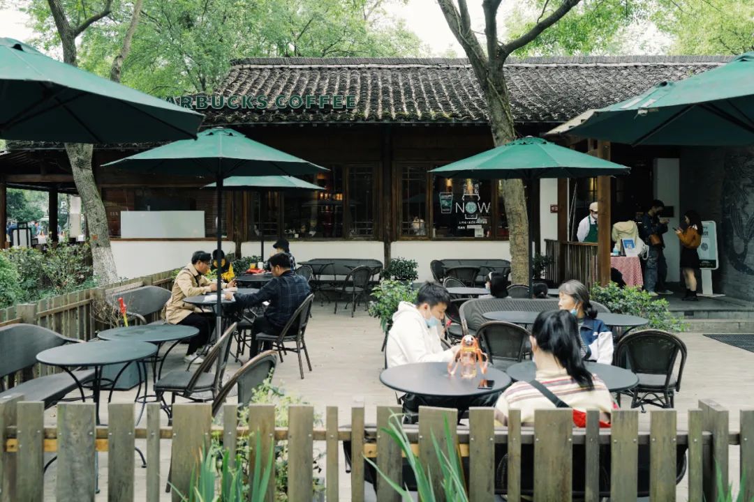 春天的潺潺溪水,春天的顶流