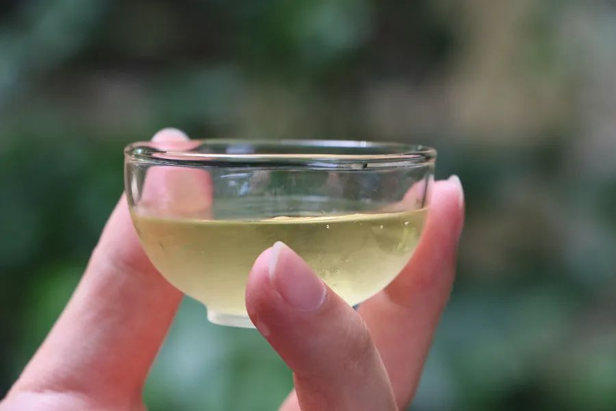 史上最全的茶叶养生知识是什么呢,茶叶真的有养生效果吗