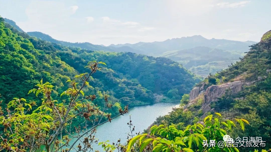 山东海阳十大美丽城市,海阳市全国排名