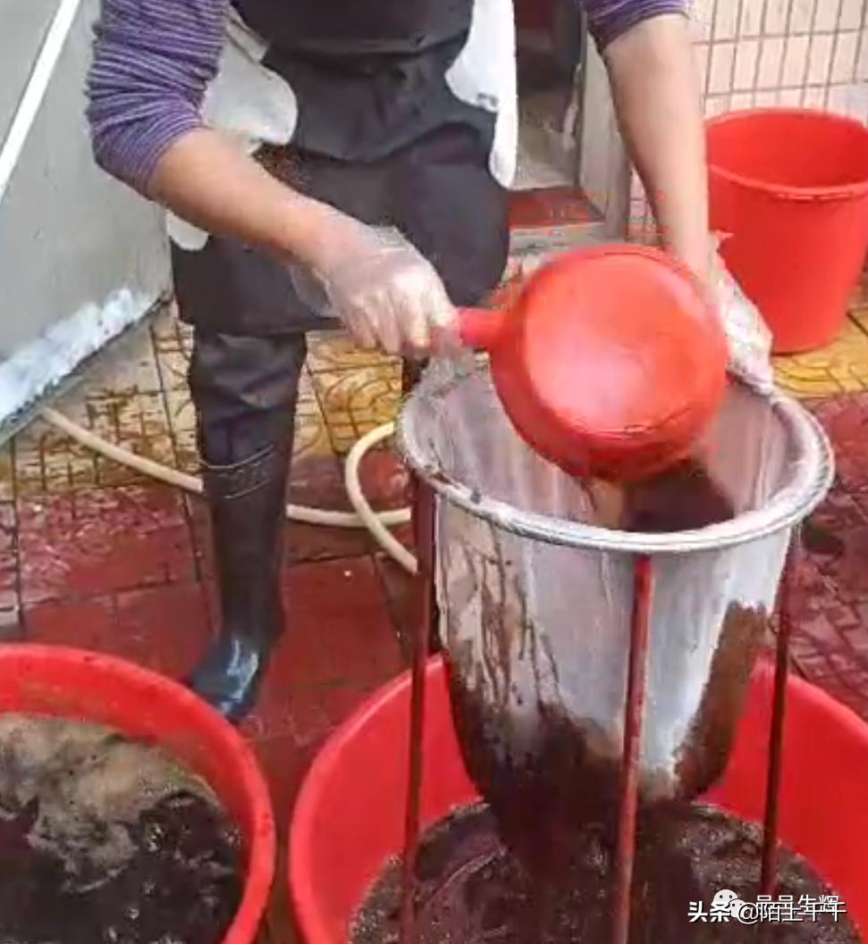 广东开平马冈凉粉,正宗的古镇特色凉粉