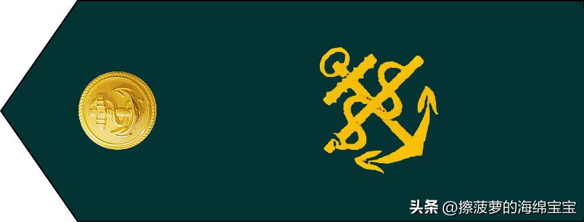 二战德国国防军医疗兵军衔标志