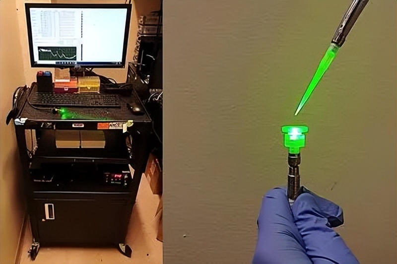 壳寡糖的促进生根作用,壳寡糖对免疫系统的调节作用