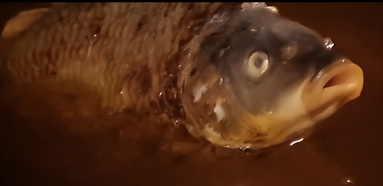 蹭ip电影东北,蹭ip的小视频