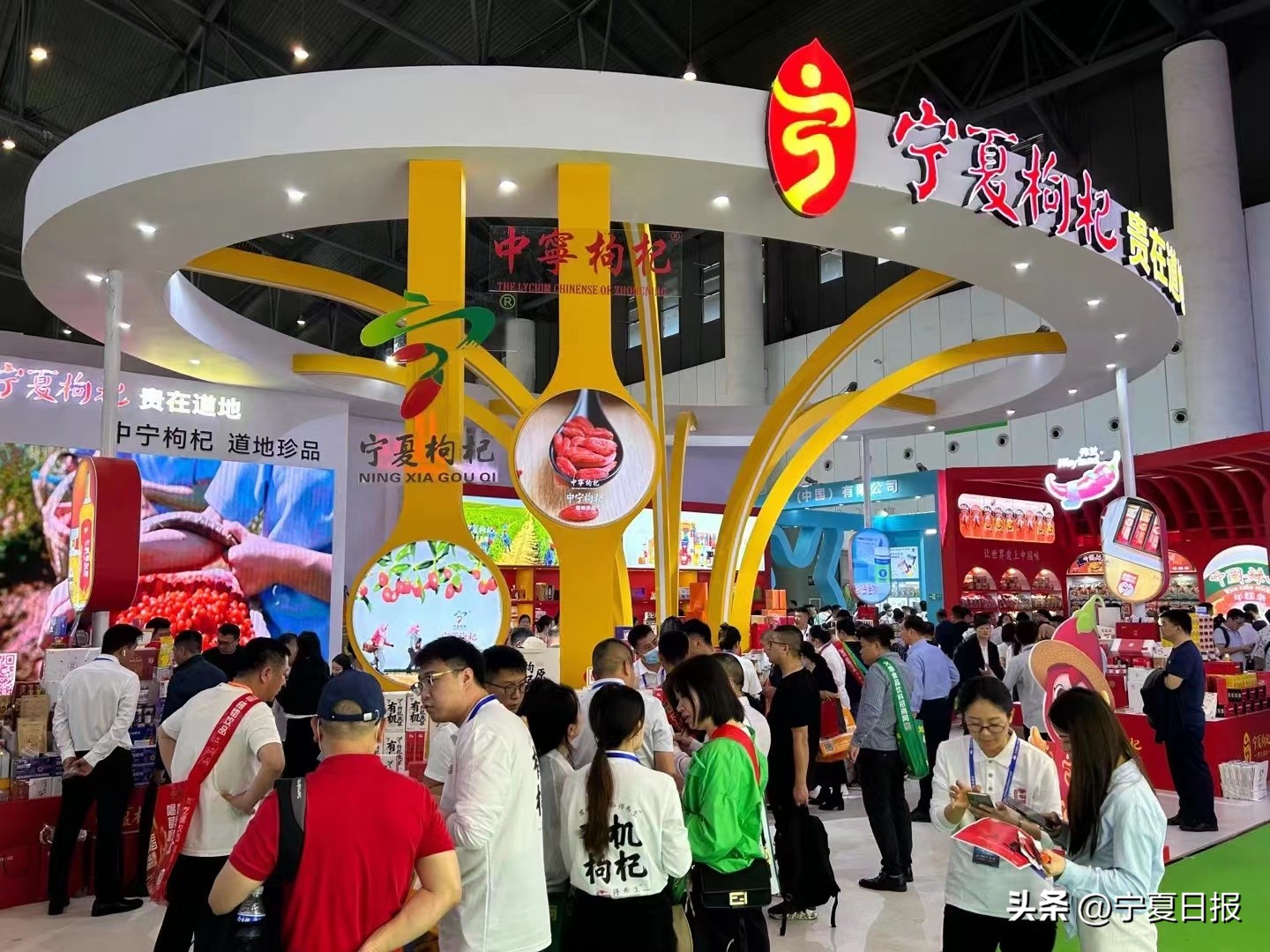 枸杞产业博览会塑造中宁枸杞品牌,2022年宁夏枸杞博览会