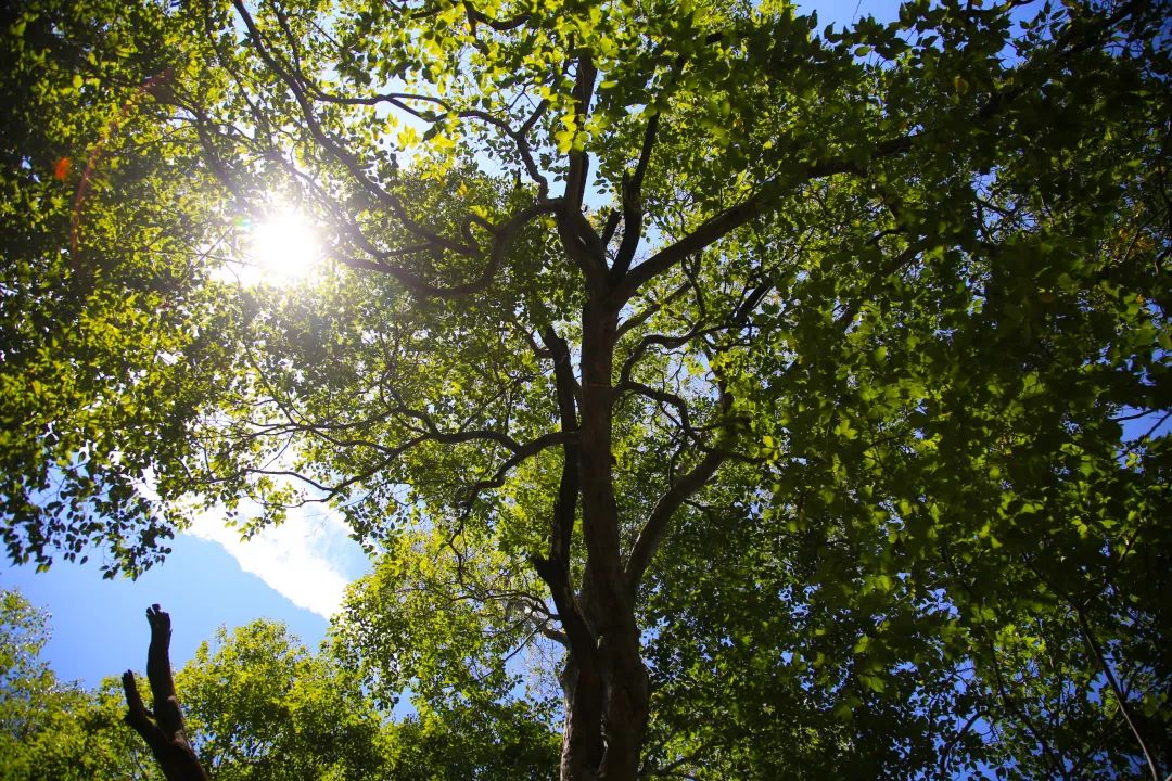 趵突泉上央视,趵突泉上新闻联播