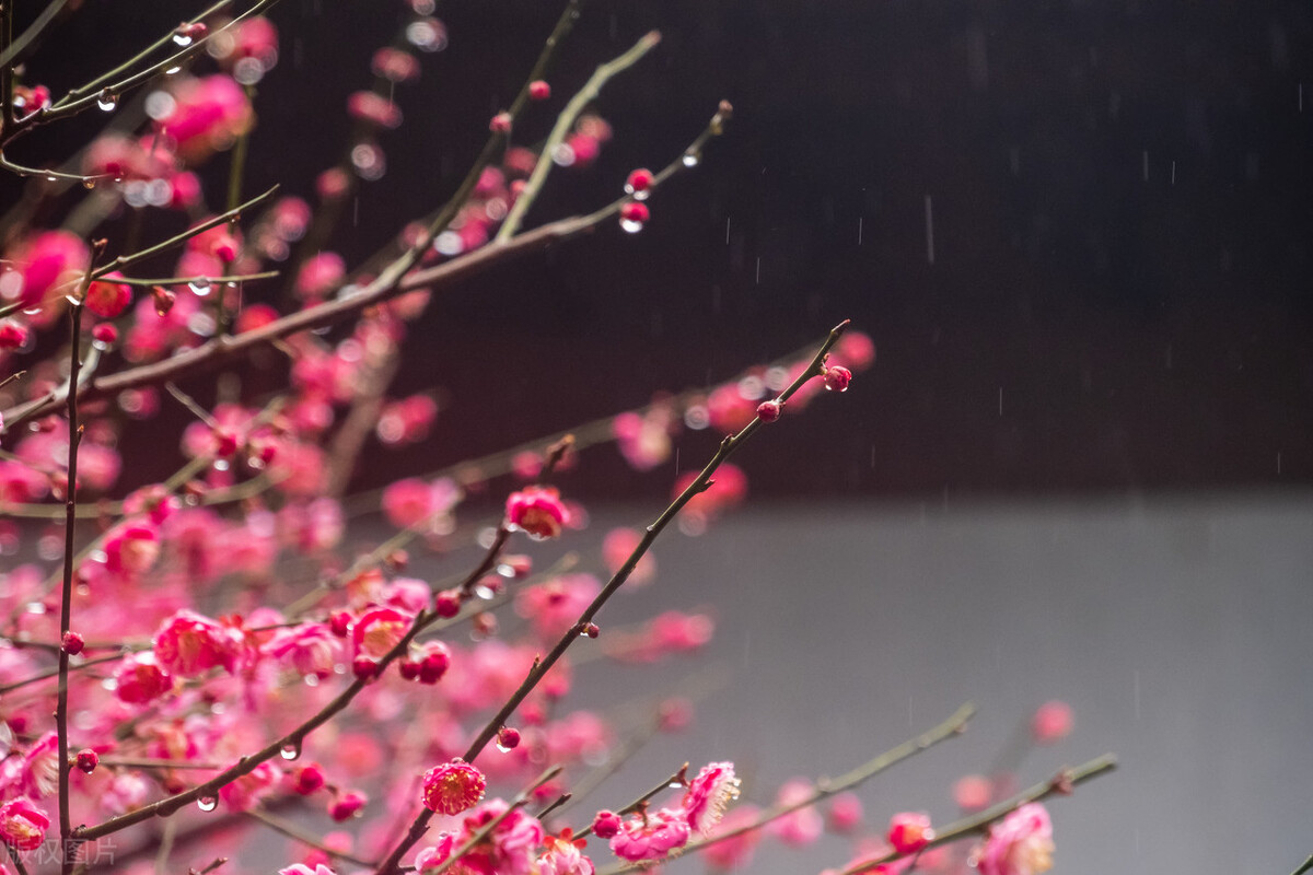 宋词里的春天是美到骨子里的春天,唐诗宋词里的春天朗诵稿4-6分钟