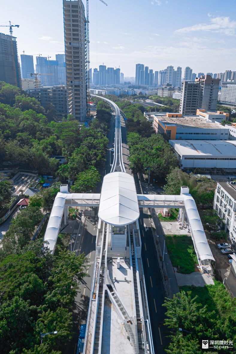 深圳首条云中巴士,深圳双层巴士旅游观光线