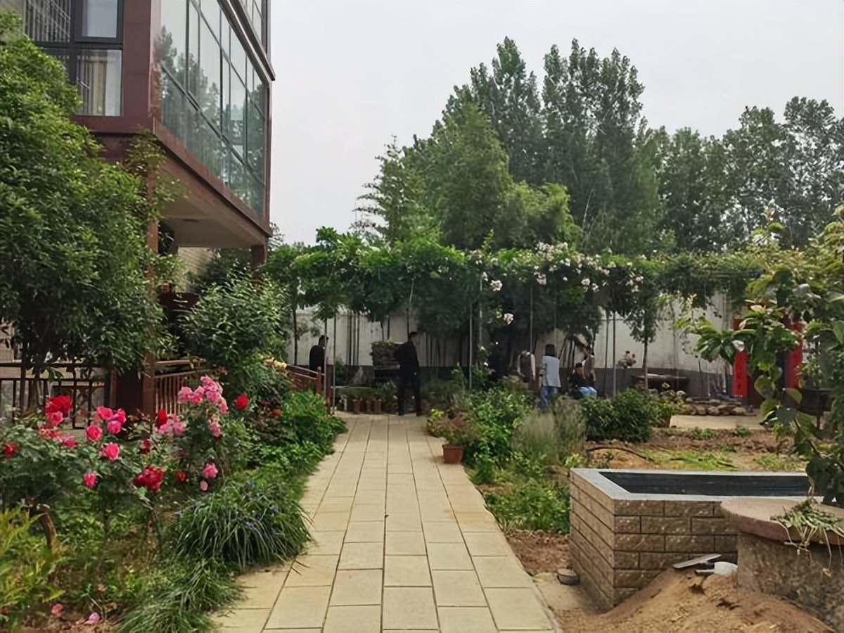 持续改善人居环境南阳市社旗县桥头镇这样做