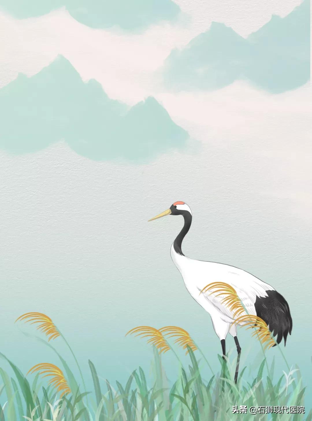 想要取环，需要做些什么准备？