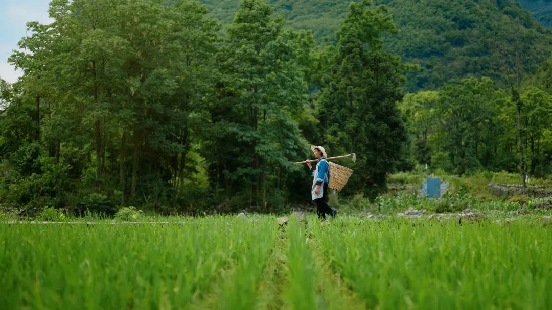 离开北京回农村，这群90后年轻人回乡拍短视频创业