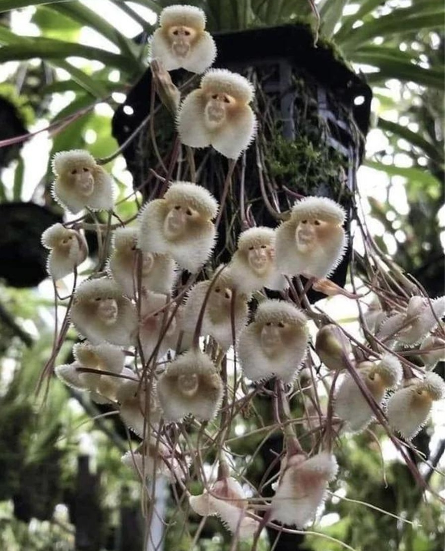 美国女人的收藏品,全美服装比赛上的佳丽,40张照片带你看全球