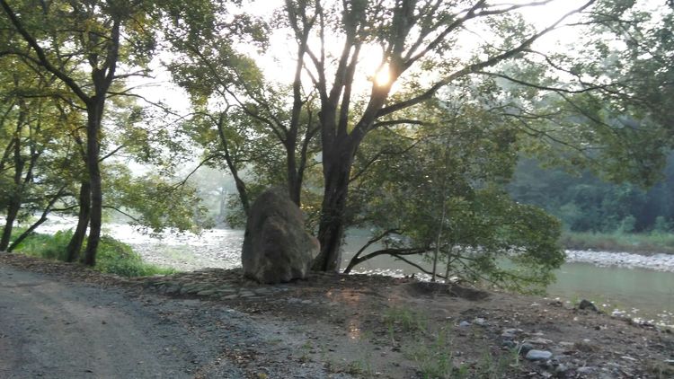 宁德市神农宫寺庙,宁德市神农宫5000年历史