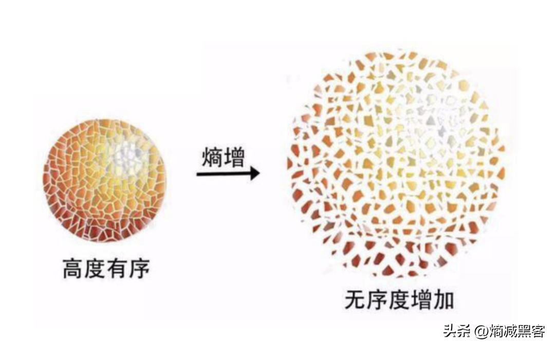 熵增原理对个人成长启发,熵减的人生哲理