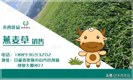 饲料价格暴涨怎么办,饲料价格调整方法