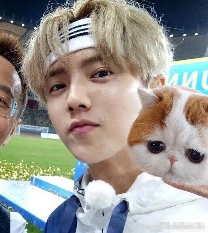 从顶流陨落的明星,从顶流明星到阶下囚