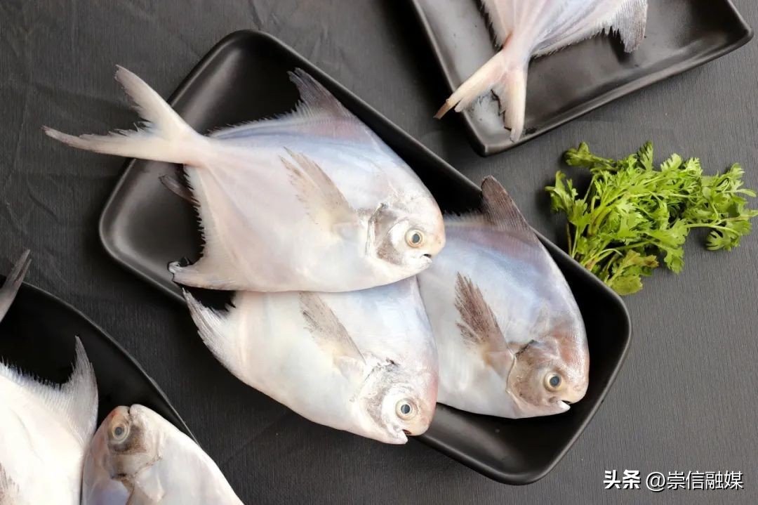 这7种鱼吃了好处多,这些鱼吃起来很鲜嫩