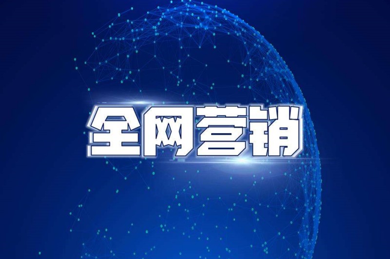 网站全网营销推广方案,企业网站怎么全网推广