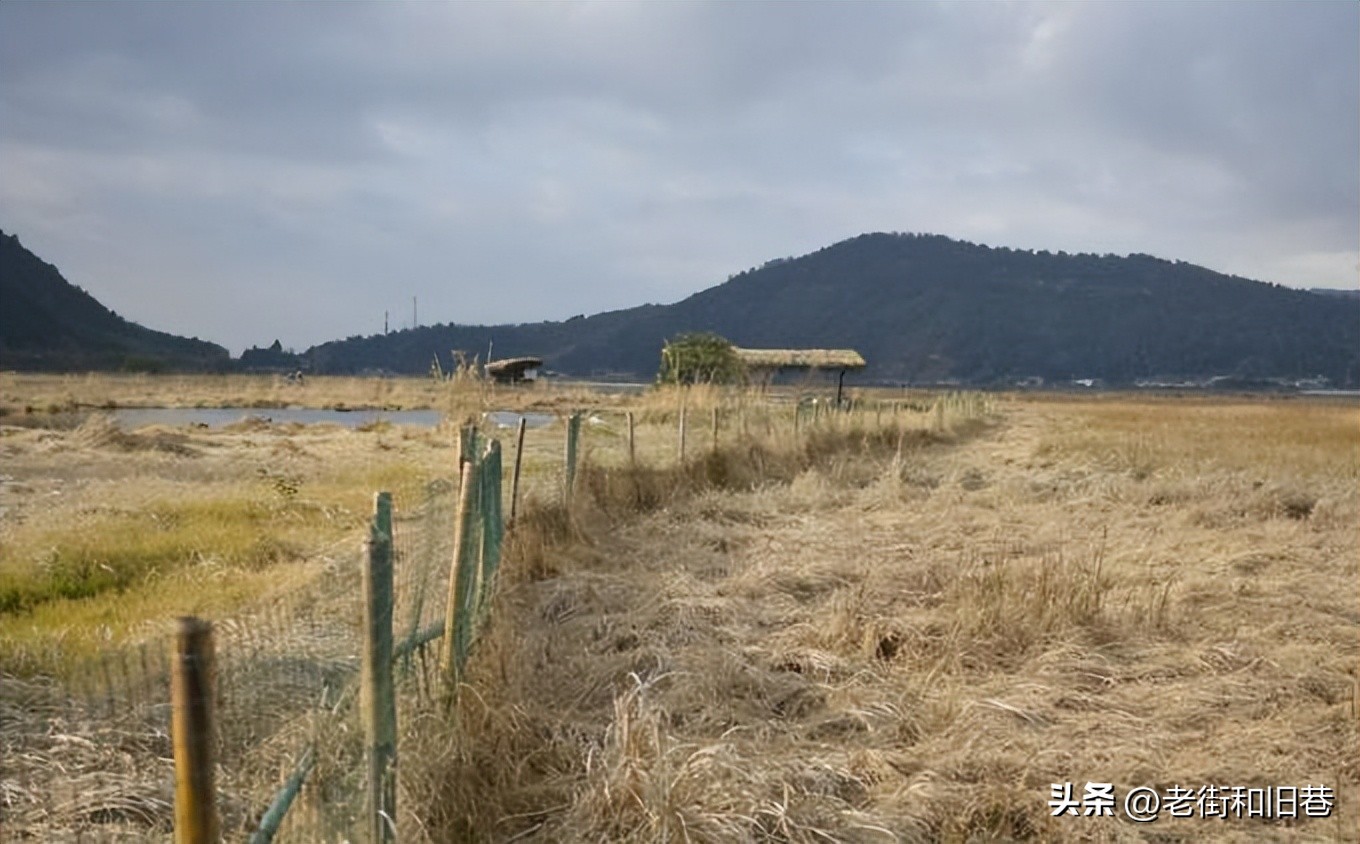 为什么说四季都适合去云南玩,去云南哪个季节去最好玩