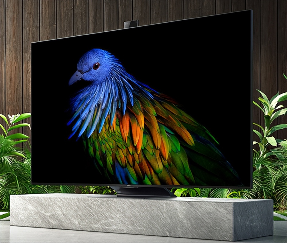 小米电视高端型号有哪些,小米电视大屏幕性价比