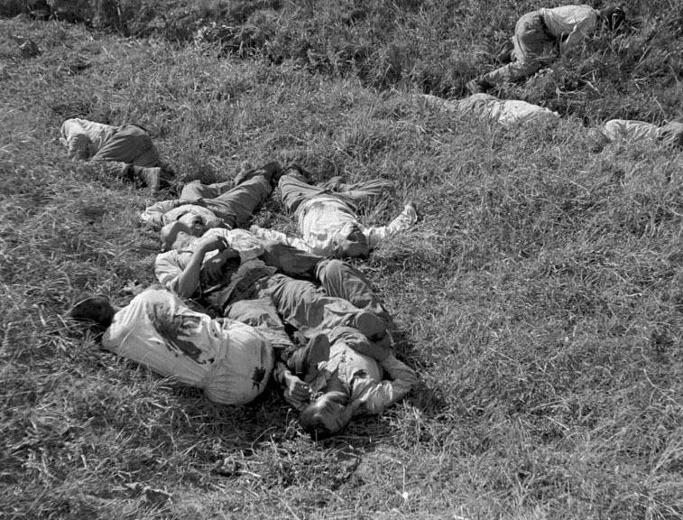 日本慰安夫:美国女兵的专属男宠,一天要接待十几位客人