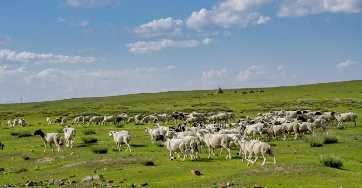 内蒙古公办高职院校排名,内蒙古最好的高职排名