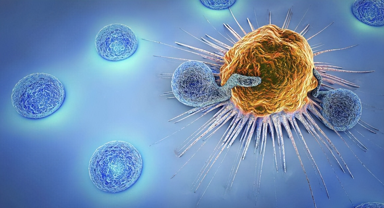 从炎症到癌症三种炎症别拖着,从炎症到癌症以下几种炎症不要拖