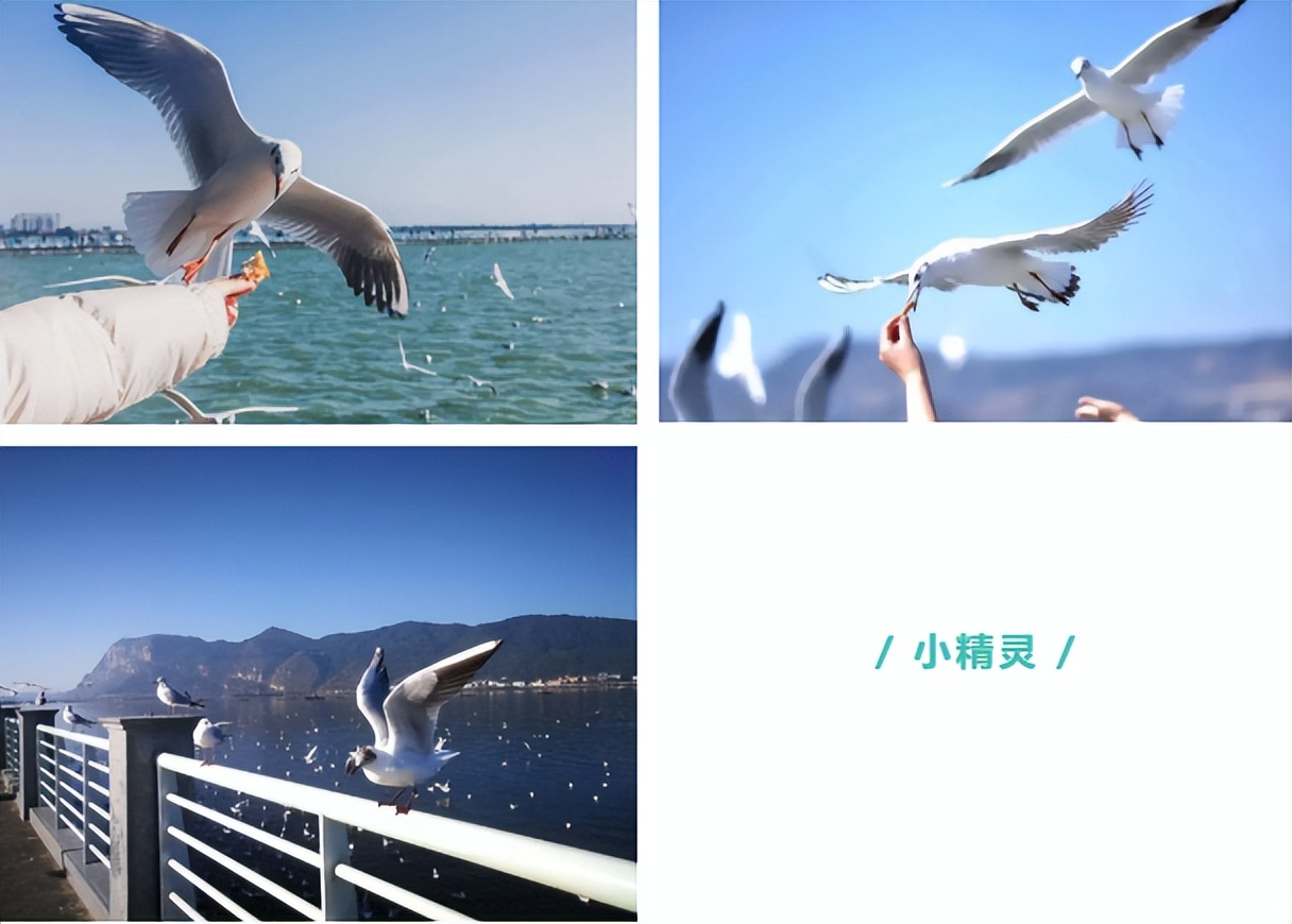 来海埂公园感受初夏浪漫,享受周末休闲快乐时光