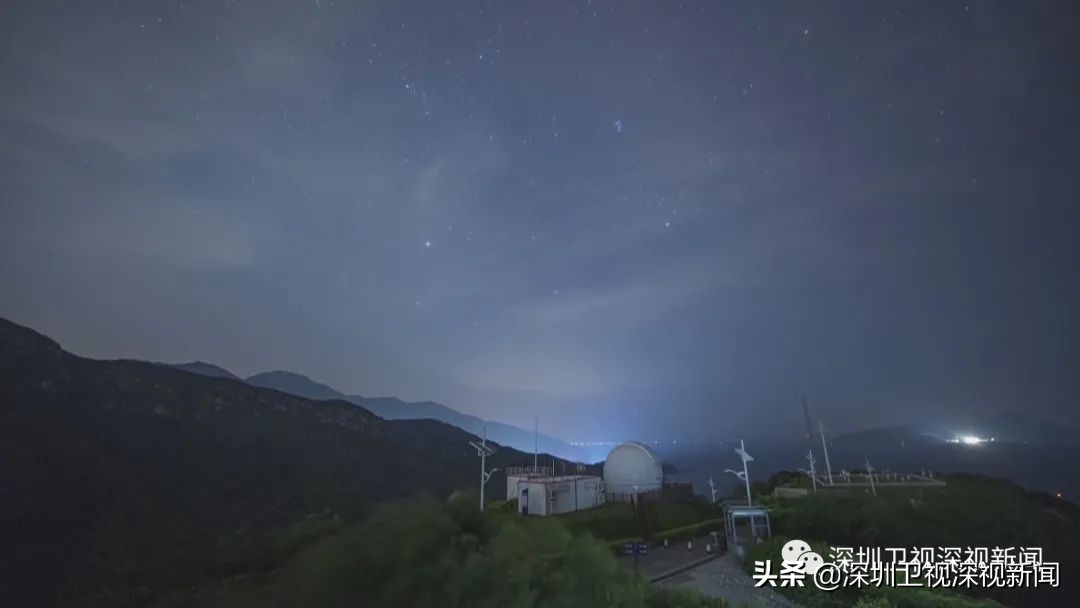 深圳西涌迎萤火虫观赏季,西涌萤火虫在哪个地方