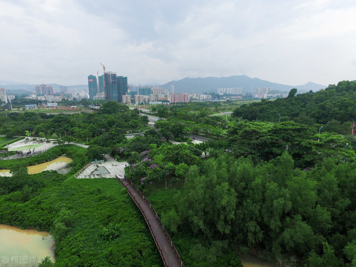惠州自驾游十大免费景点推荐,惠州一日游必去十大景点