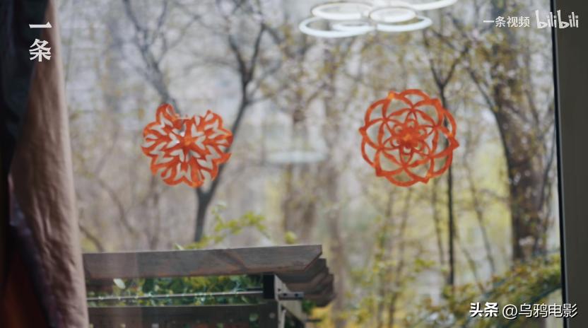 9.1分出圈，这次全网力挺！从京东副总裁，跌落成“*子骗**”