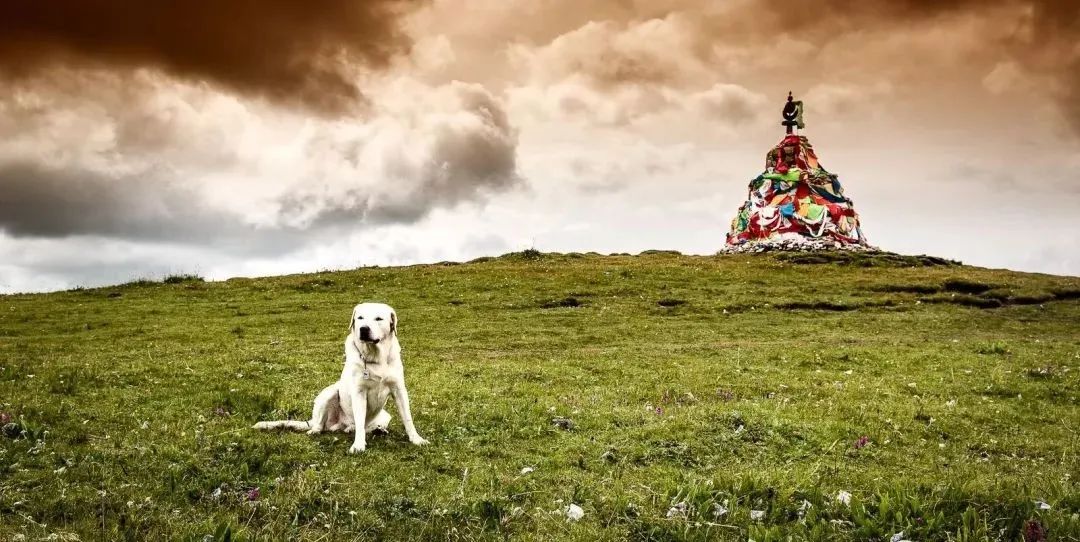 甘南什么意思,甘南县为什么叫甘南县