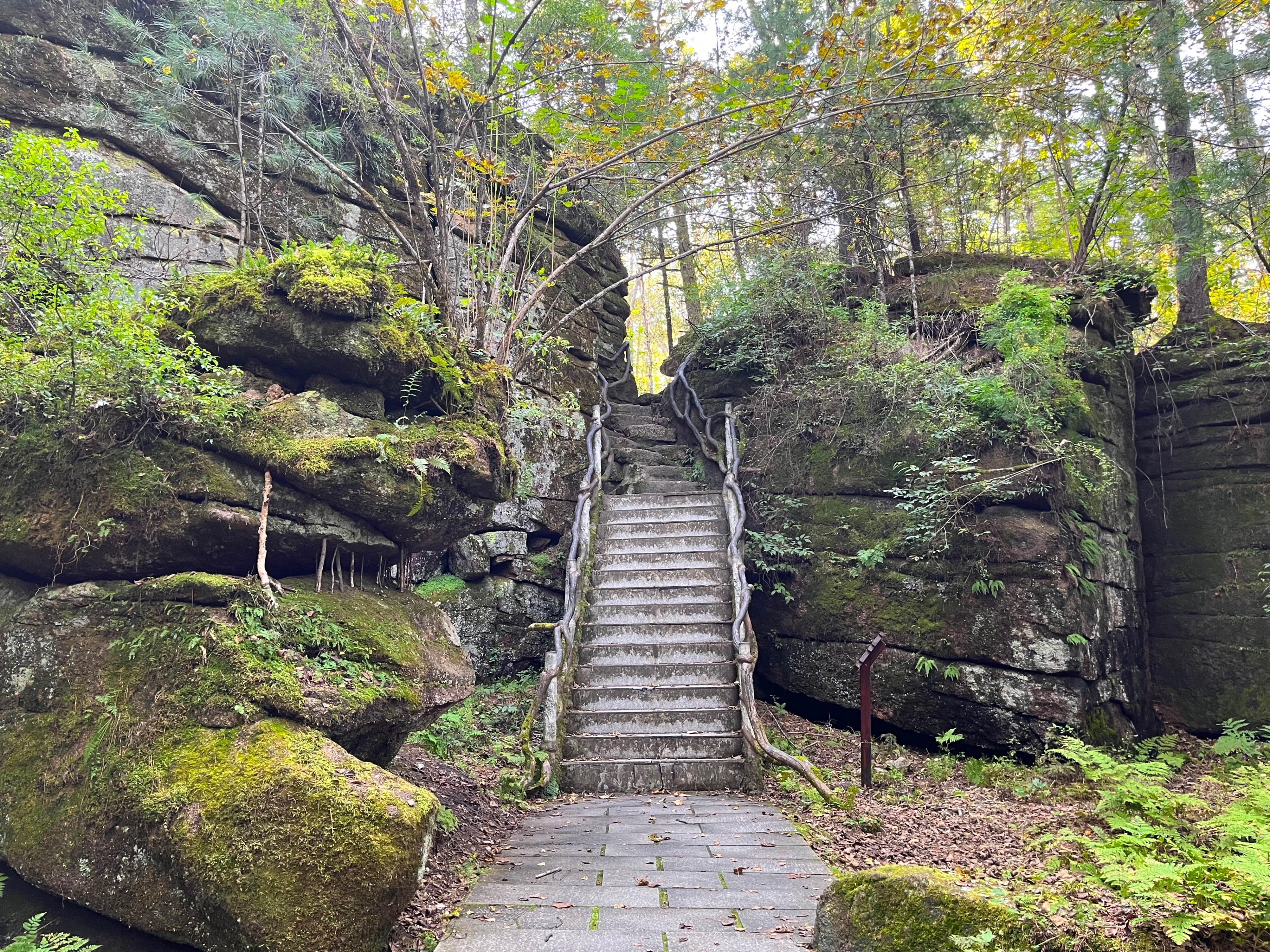 夫妻自驾11000公里,夫妻两人自驾游最新视频