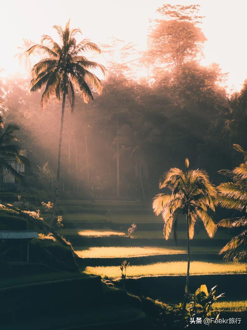 巴厘岛现在能落地签吗,中国对印尼开放落地签不