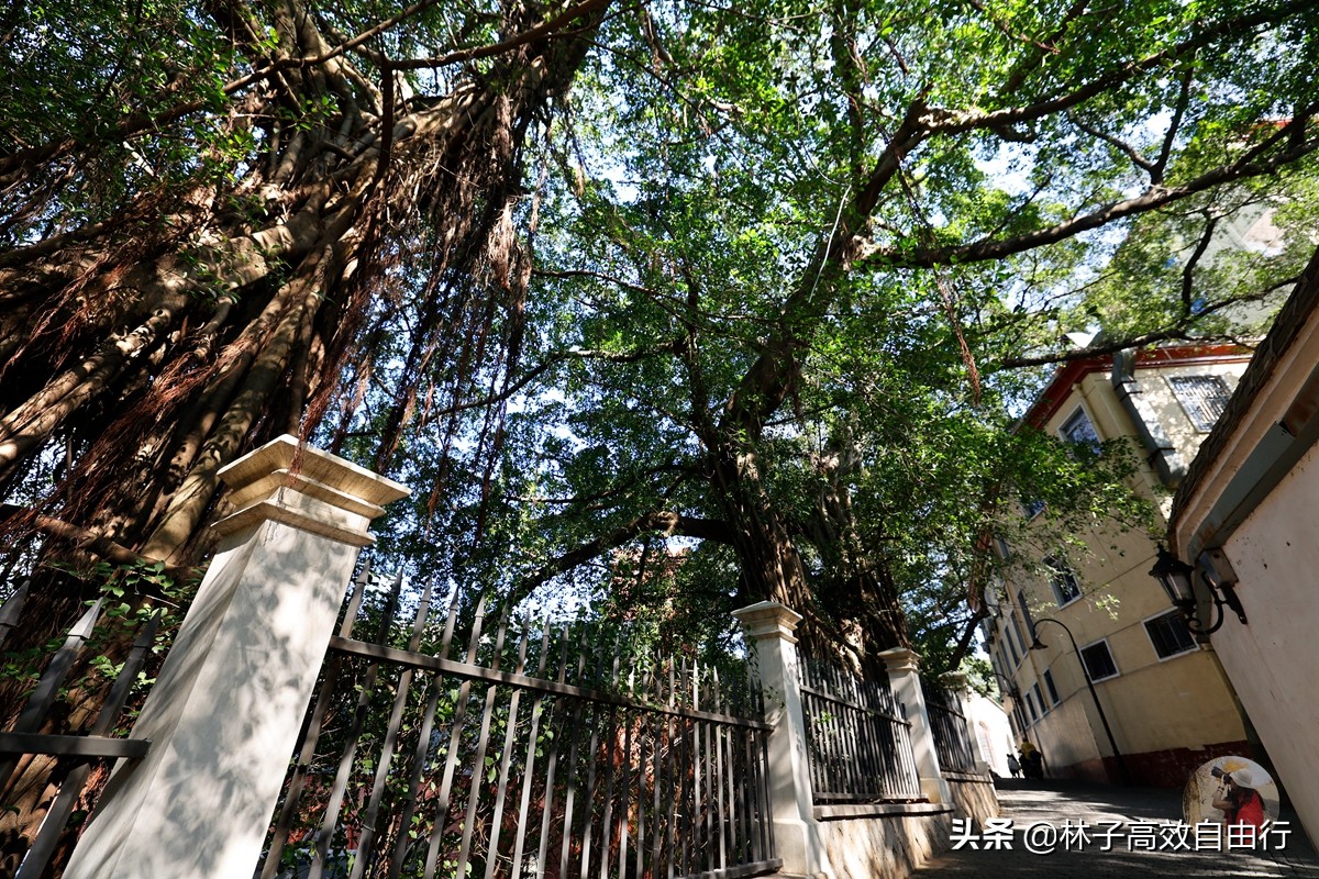 福州有哪些特色玩的,福州市区游玩攻略