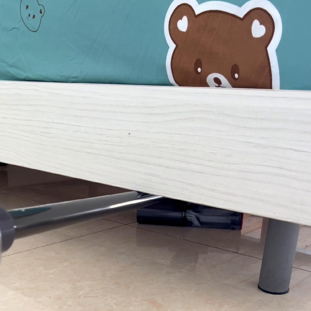 戴森吸尘器养宠物用哪款,戴森吸尘器要不要买洗地一体