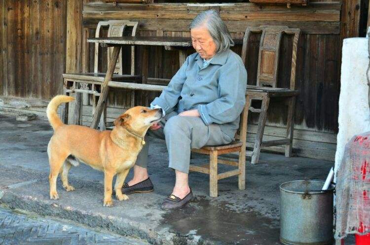 我家狗狗以为它是我亲生的,你家狗会不会认为是你亲生的