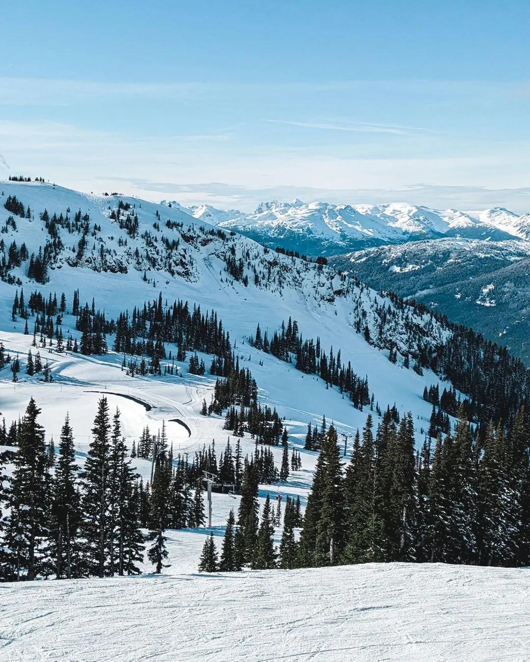 抢不到冰墩墩是什么梗,冬奥会冰墩墩2022