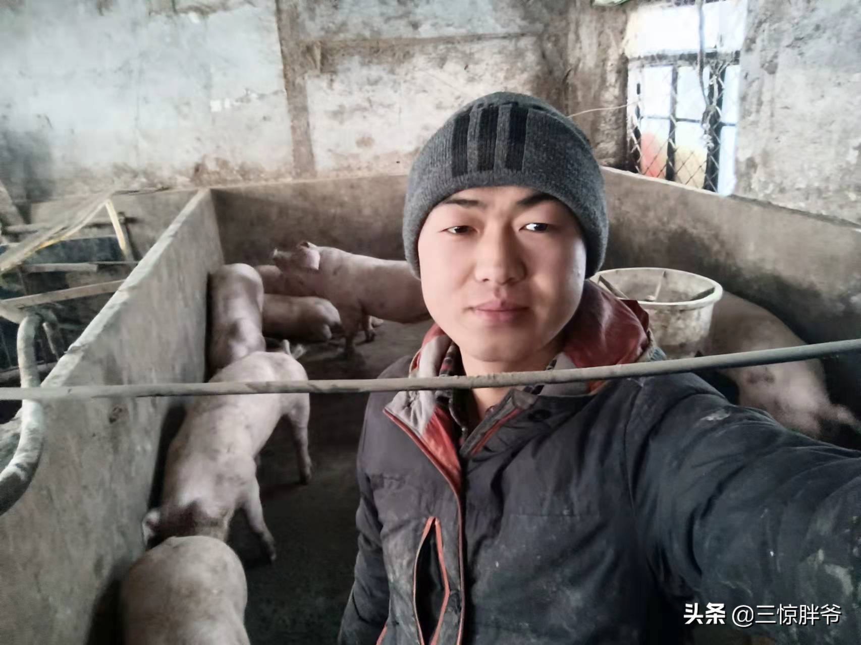 青岛往事中的德国人,08年青岛海尔打工回忆