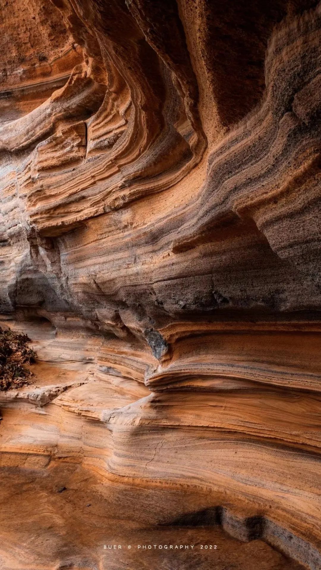 这座岛究竟有何神奇之处,怎么玩海陵岛不踩坑