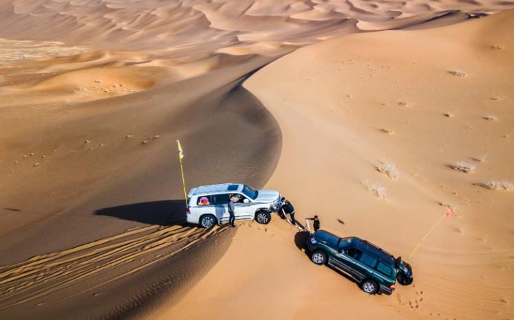 额济纳胡杨林4天攻略,游额济纳胡杨林攻略