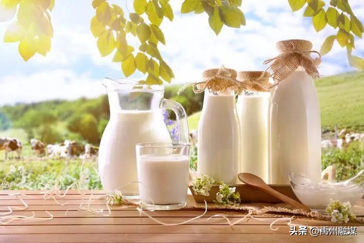 天天早上喝牛奶吃面包对身体好吗,纯牛奶一天喝多少最健康最合适