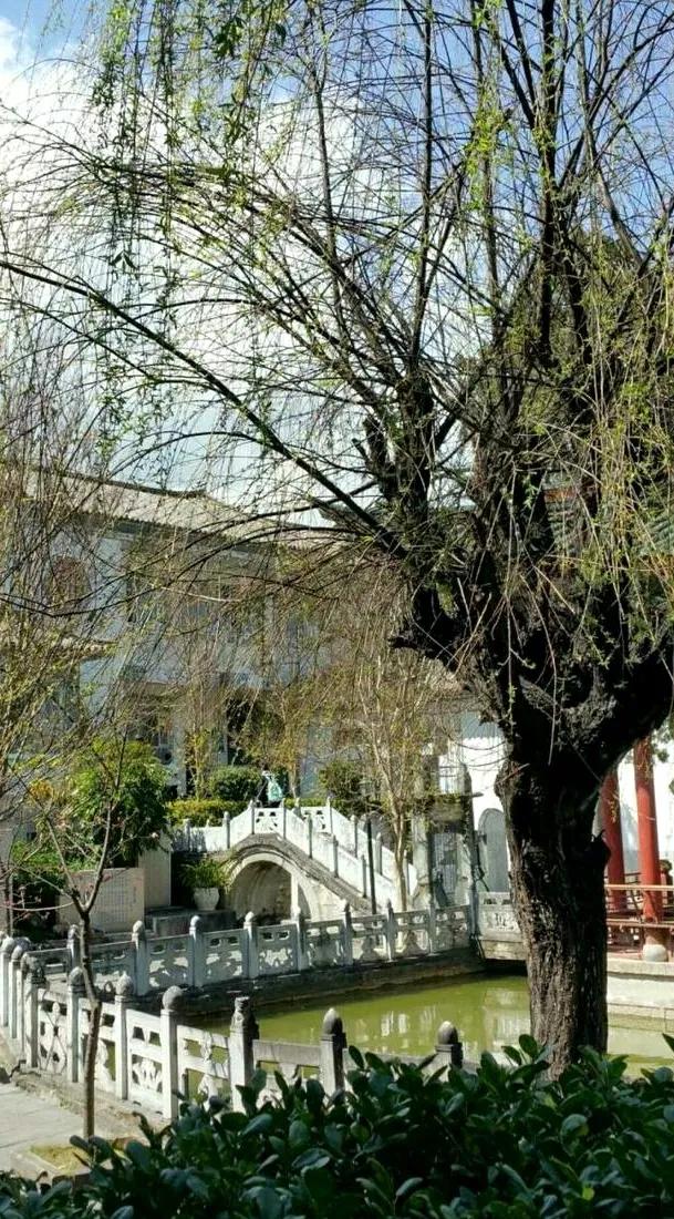 王燮元老师驾鹤西去一路走好