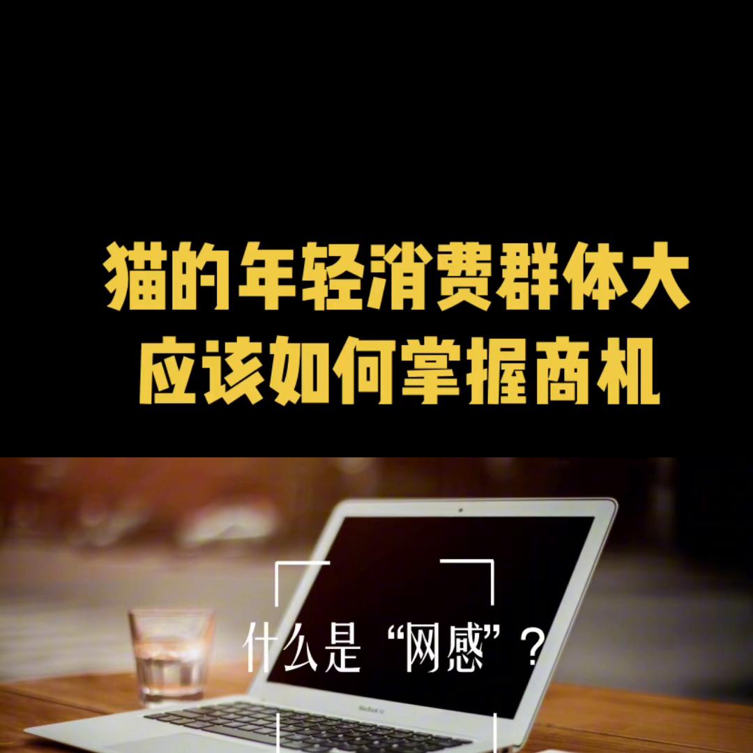 猫市场怎么买猫不被坑,宠物市场挑猫的正确方法