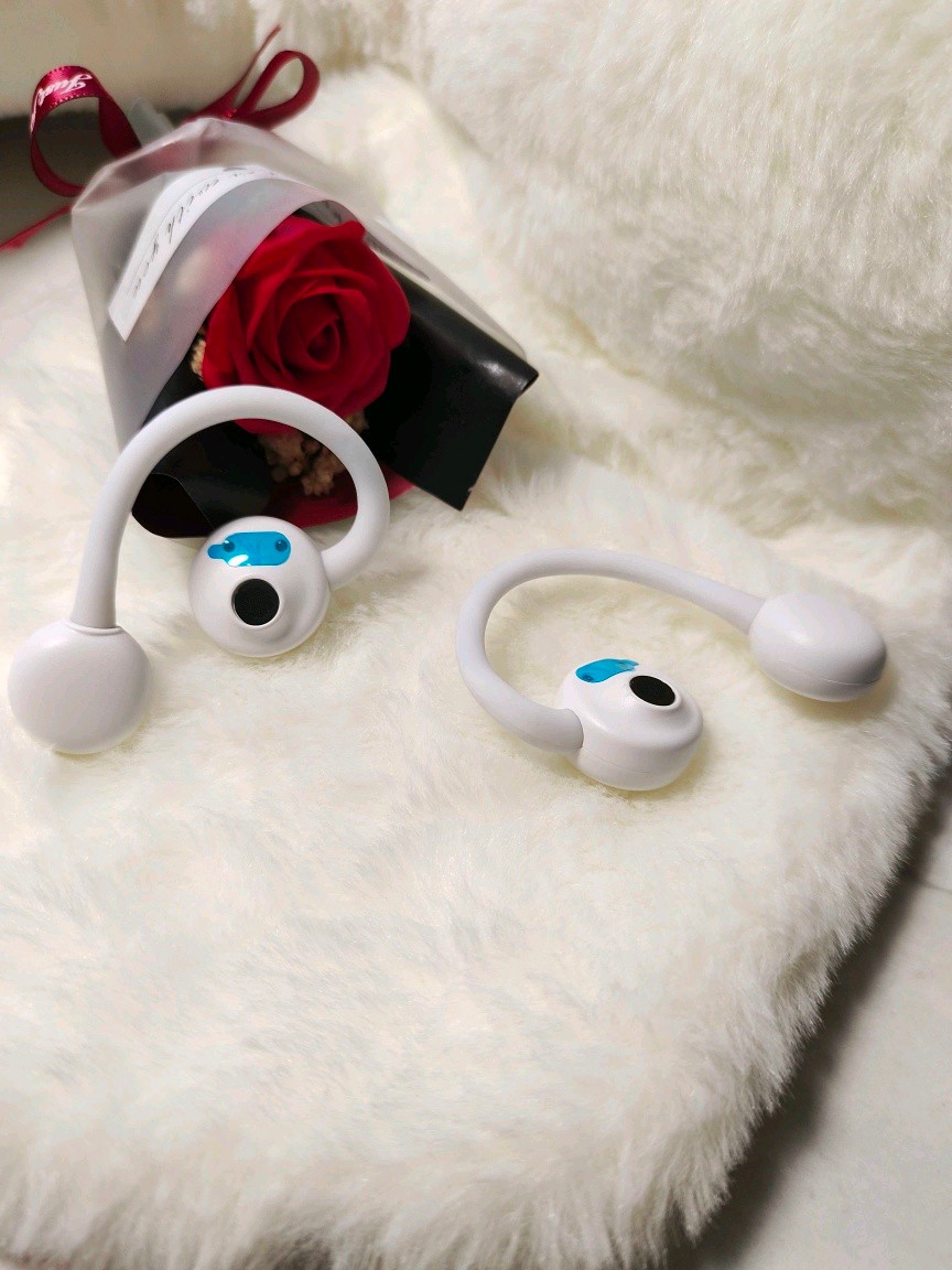 sanag塞那z61spro顶配版,sanag蓝牙耳机z61s说明书