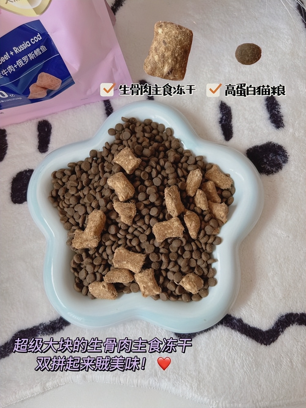 猫咪一直蹲着尿不出来怎么办,猫咪拉不出尿怎么办快速解决