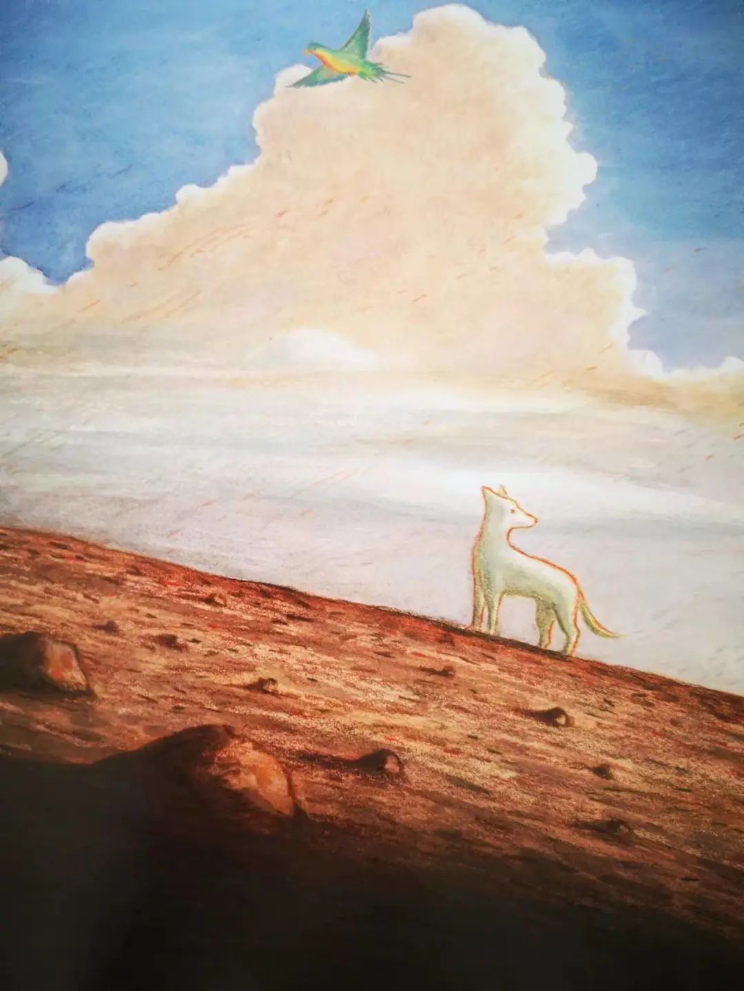 值得孩子看的4本经典绘本,绘本推荐3-6岁散步