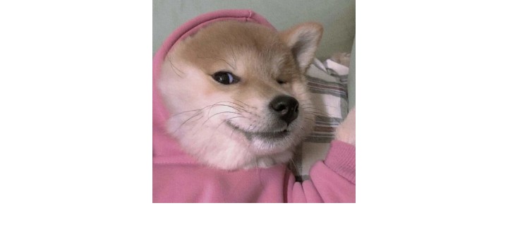 真人芭比粉色,真人芭比粉色系列