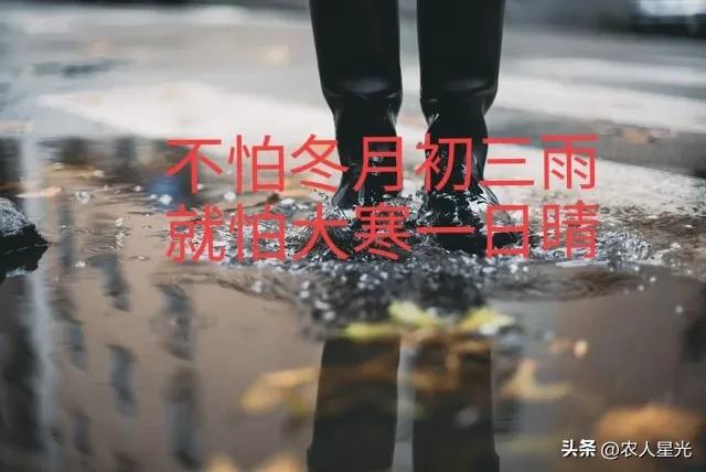南方大雨预示什么天气情况,天气预报为什么能测出几点下雨