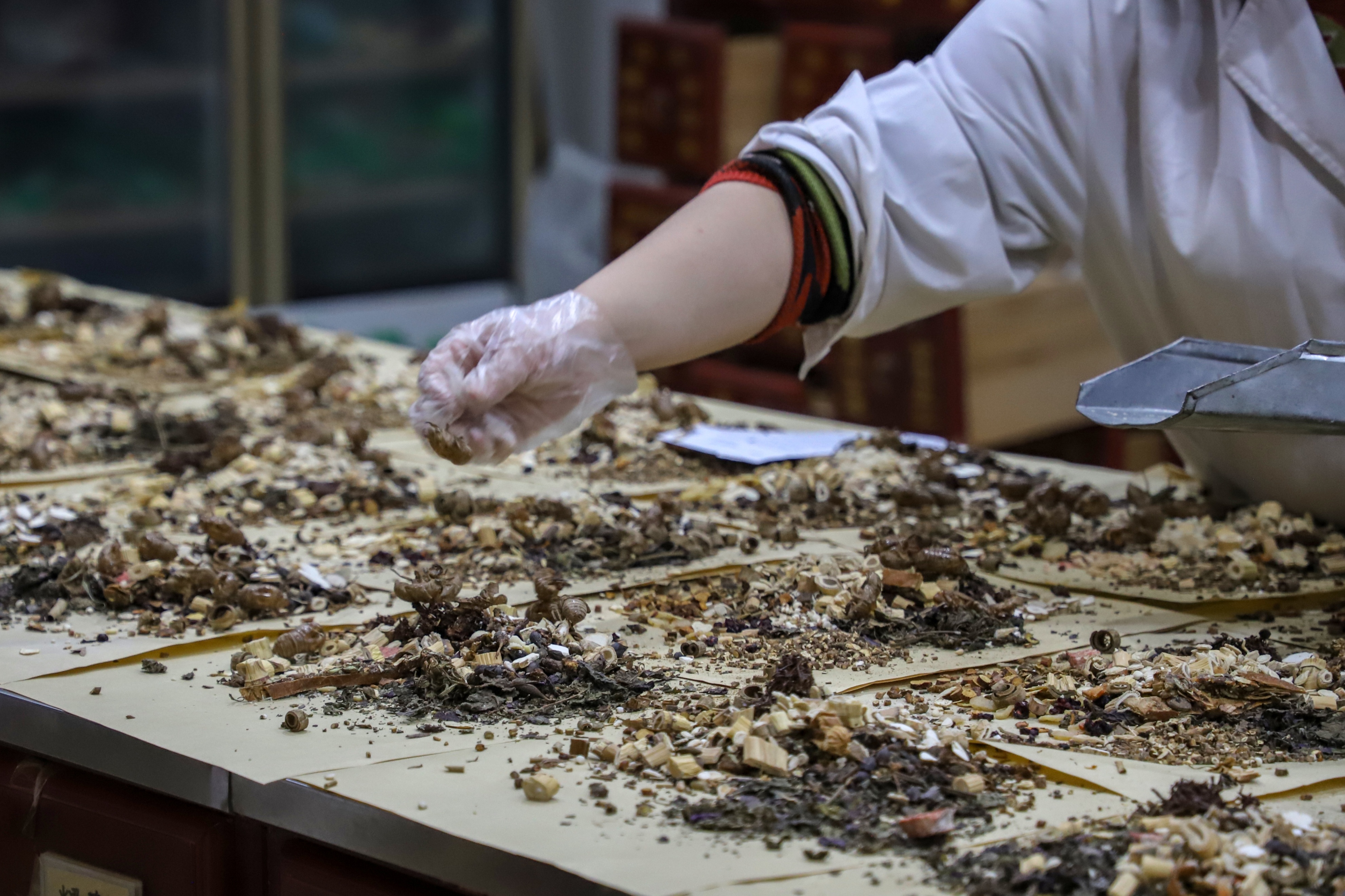 肺癌最好的滋补方法,肺癌中医调护