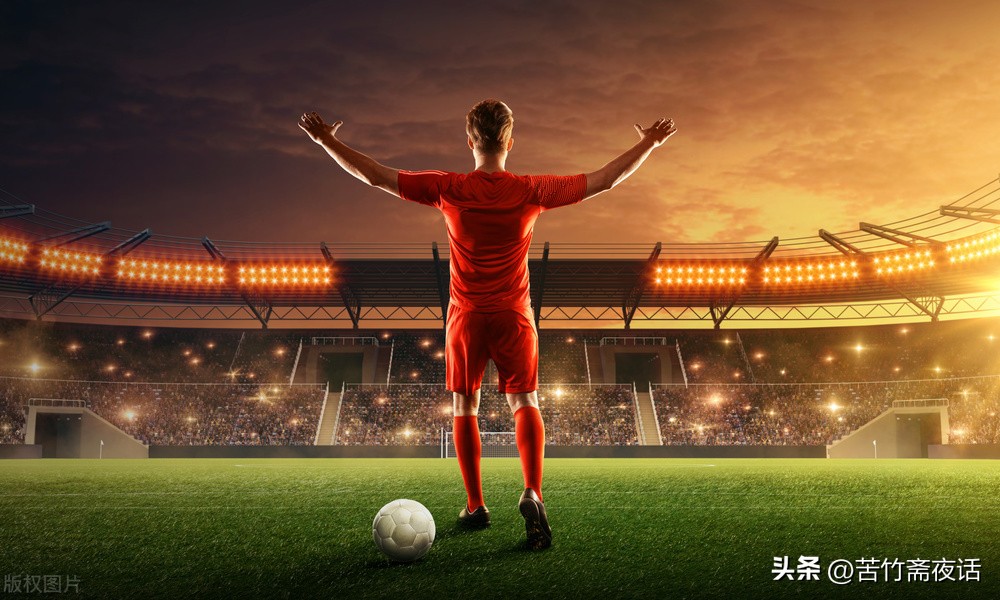 野性的啤酒,野性啤酒